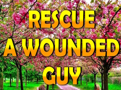 Peli Rescue A Wounded Guy