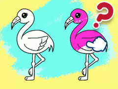 Peli Kids Quiz: Daily Color