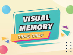 Peli Visual Memory Drag Drop