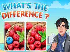 Peli What's The Difference?