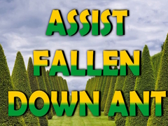 Peli  Assist Fallen Down Ant