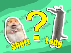 Peli Kids Quiz: Shortest And Longest