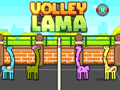 Peli Volley Lama