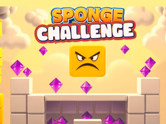 Peli Sponge Challenge