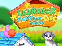 Peli Labrador Puppy Daycare Salon