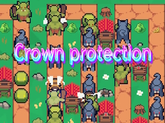 Peli Crown protection