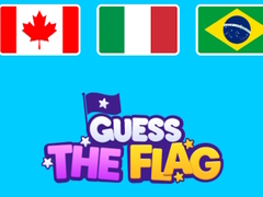 Peli Guess The Flags