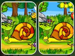Peli Insects Photo Differences