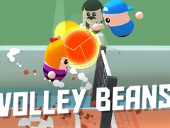 Peli Volley Beans