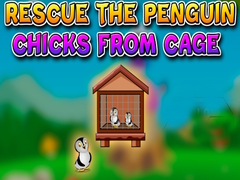Peli Rescue the Penguin Chicks from Cage