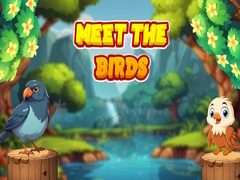 Peli Meet The Birds 