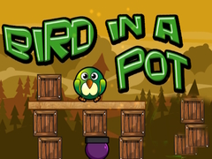 Peli Bir In a Pot