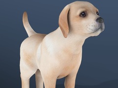 Peli IDLE Pet