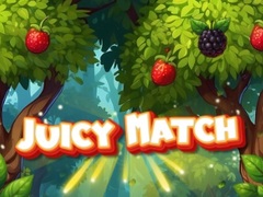 Peli Juicy Match