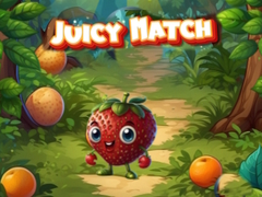 Peli Juicy Match
