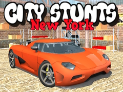 Peli City Stunts New York