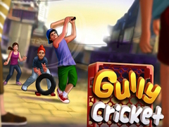 Peli Gully Cricket