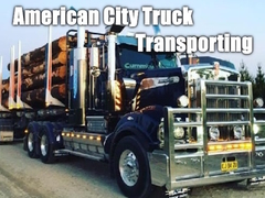 Peli American City Truck Transporting