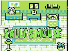Peli Sally's House