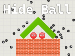 Peli Hide Ball