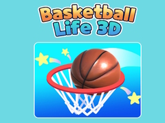 Peli Basketball Life 3D