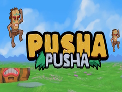 Peli Pusha Pusha