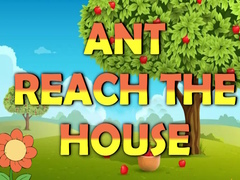 Peli Ant Reach the House