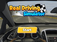 Peli Real Driving Simulator