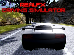 Peli RealFX Driving Simulator