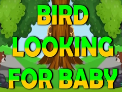 Peli Bird Looking For Baby