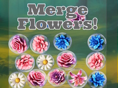 Peli Merge Flowers!