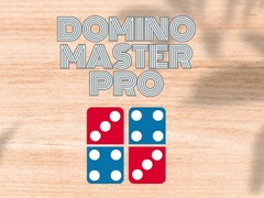 Peli Domino Master Pro