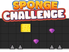 Peli Sponge Challenge