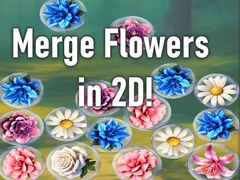 Peli Merge Flowers in 2D!