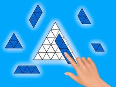 Peli Puzzle Blocks: Fill It Completely