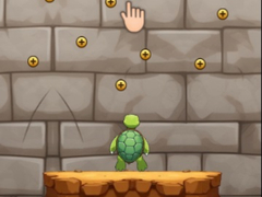 Peli Turtle Coaster
