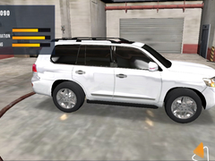 Peli Prado Car Driving