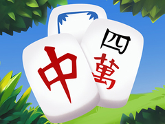 Peli Mahjong Tour