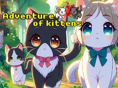 Peli Adventure of Kittens