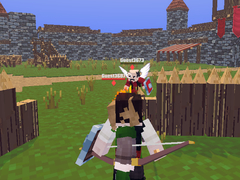 Peli Medieval Arena