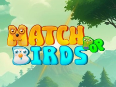 Peli Match Pop Birds