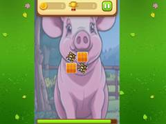 Peli Farm Animals Memory Cards