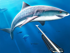 Peli Hunting Underwater Spearfishing