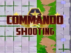 Peli Commando Shooting