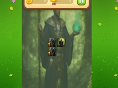Peli Nature Druid Memory Match