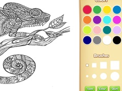Peli Adult Animal Coloring Book for Kids