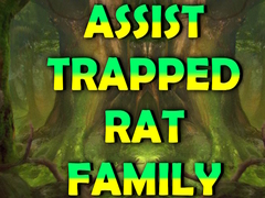 Peli Assist Trapped Rat Family