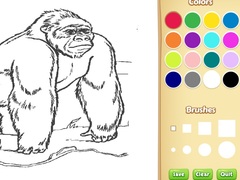 Peli Zoo Animals Coloring Book for Kids