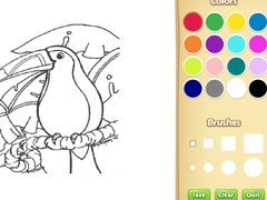 Peli Amazon Rainforest Coloring Book for Kids
