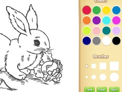 Peli Bunny Coloring Book For Kids